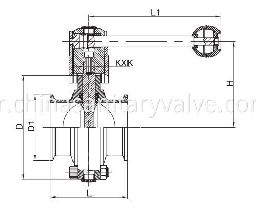 DIN Hygienic Butterfly Valves Clamp end.